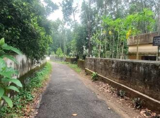 Residential Land for Sale in Ernakulam, Angamaly, Thuravoor, pullani