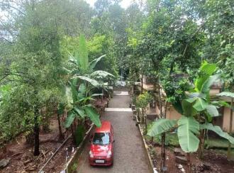 Residential Land for Sale in Ernakulam, Angamaly, Thuravoor, pullani
