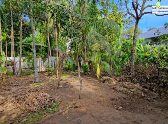 Residential Land for Sale in Alleppey, Aroor, Aroor