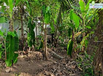 Residential Land for Sale in Alleppey, Aroor, Aroor