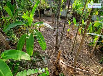 Residential Land for Sale in Alleppey, Aroor, Aroor
