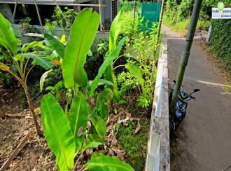 Residential Land for Sale in Alleppey, Aroor, Aroor