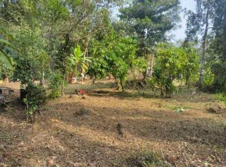 Residential Land for Sale