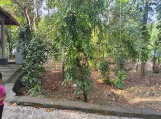 Residential Land for Sale in Kottayam, Pampady, S N Puram, Near Anakuthi Bus stop