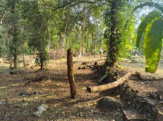 Residential Land for Sale in Kottayam, Pampady, S N Puram, Near Anakuthi Bus stop