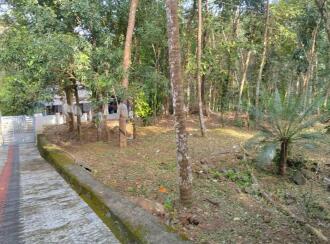 Residential Land for Sale in Kottayam, Pampady, S N Puram, Near Anakuthi Bus stop