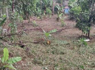 Residential Land for Sale in Idukki, Kattappana, Kattapana, ITI College Junction
