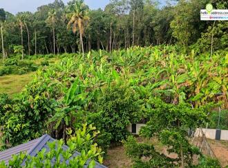 Residential Land, Kollam