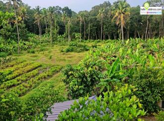 Residential Land for Sale in Kollam, Kottarakkara, Plappally, church of god