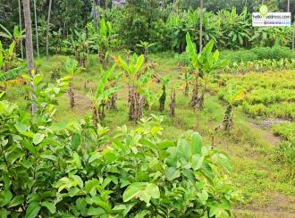 Residential Land for Sale in Kollam, Kottarakkara, Plappally, church of god