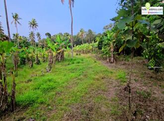 Residential Land for Sale in Kollam, Kottarakkara, Plappally, church of god