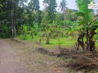 Residential Land for Sale in Kollam, Kottarakkara, Plappally, church of god