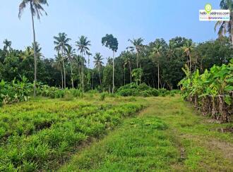 Residential Land for Sale in Kollam, Kottarakkara, Plappally, church of god