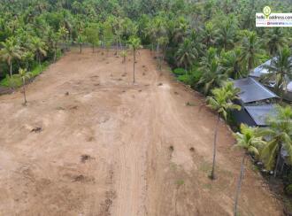 Commercial Land for Sale in Alleppey, Haripad, Karuvatta, Near Kumarakodi Petrol pump