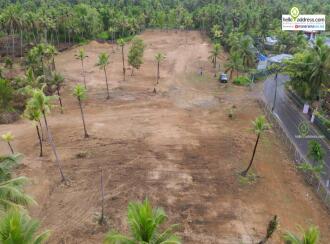 Commercial Land for Sale in Alleppey, Haripad, Karuvatta, Near Kumarakodi Petrol pump