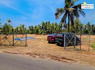 Commercial Land for Sale in Alleppey, Haripad, Karuvatta, Near Kumarakodi Petrol pump