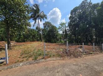 Residential Land for Sale in Kottayam, Karukachal, Nethalloor, Near Nethallor Temple Junction