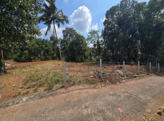 Residential Land for Sale in Kottayam, Karukachal, Nethalloor, Near Nethallor Temple Junction