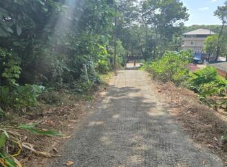 Residential Land for Sale in Kottayam, Karukachal, Nethalloor, Near Nethallor Temple Junction