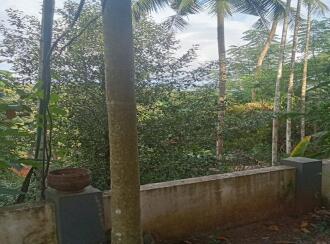 Residential Land for Sale in Idukki, Thodupuzha, Karimkunnam, karimkunnam