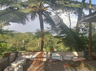 Residential Land for Sale in Idukki, Thodupuzha, Karimkunnam, karimkunnam