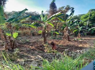 Residential Land for Sale in Pathanamthitta, Omalloor, Omalloor, Phyvelli bhagom
