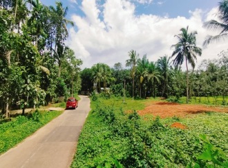 Residential Land, Pathanamthitta