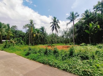 Residential Land for Sale in Pathanamthitta, Adoor, Aickadu, poykayil cross