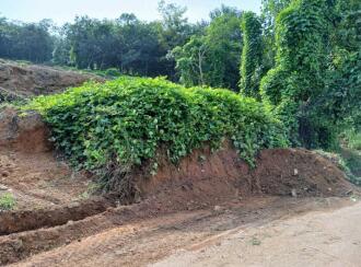 Residential Land, Alleppey