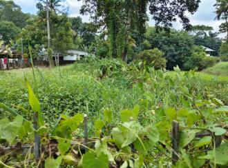 Residential Land for Sale in Kottayam, Kottayam town, Kanjikuzhy, Vijayapuram