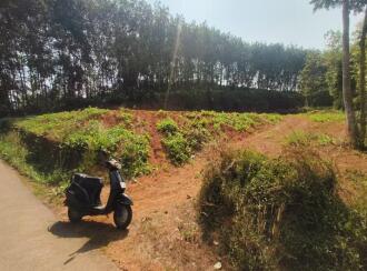 Residential Land for Sale in Ernakulam, Kolenchery, Kinginimattom, Kulangara Penattuthazham Road