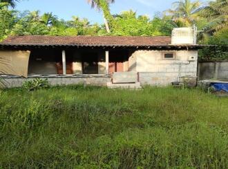 വാസയോഗ്യമായ വീട് വില്പനയ്ക്ക് Alleppey, Kayamkulam, Arattupuzha, arattupuzha, alappuzha