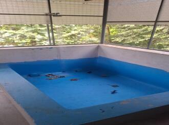 Residential House Villa for Sale in Thrissur, Thrissur, Tholur
