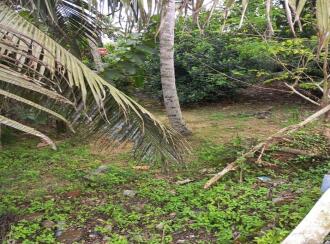 Residential Land for Sale in Kottayam, Kottayam town, Kollad, Boat Jetty Jn
