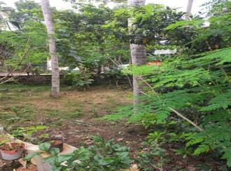 Residential Land for Sale in Kottayam, Kottayam town, Kollad, Boat Jetty Jn