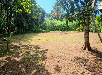 Residential Land for Sale in Pathanamthitta, Thiruvalla, Thiruvalla town, Thengeli