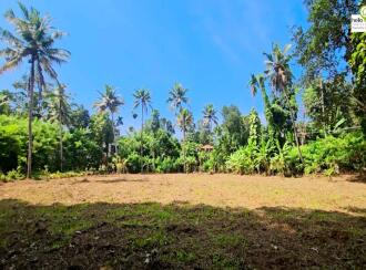 Residential Land for Sale in Pathanamthitta, Thiruvalla, Thiruvalla town, Thengeli