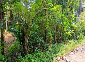 Residential Land for Sale in Pathanamthitta, Thiruvalla, Thiruvalla town, Thengeli
