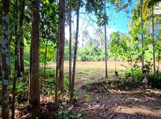 Residential Land for Sale in Pathanamthitta, Thiruvalla, Thiruvalla town, Thengeli