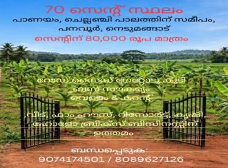 വാസയോഗ്യമായ ഭൂമി വില്പനയ്ക്ക് Trivandrum, Nedumangad, Panavoor, Panayam, Kottavarambu